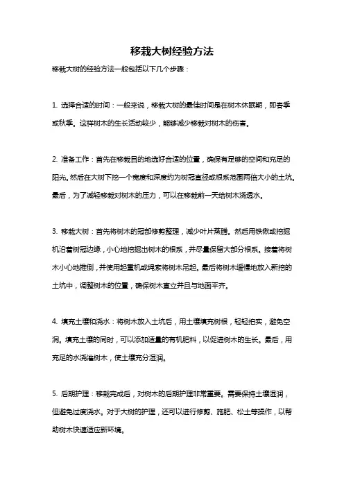 移栽大树经验方法