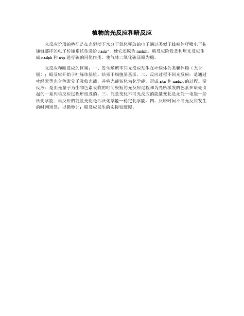 植物的光反应和暗反应