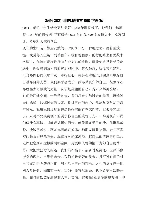 写给2023年的我作文800字多篇