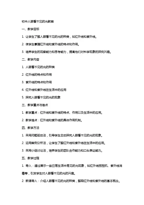 初中人眼看不见的光教案