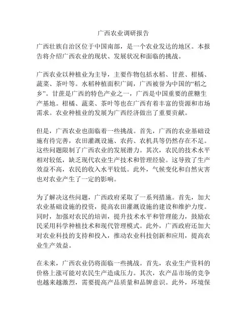广西农业调研报告