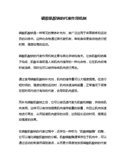 磷酸肌酸钠的代谢作用机制