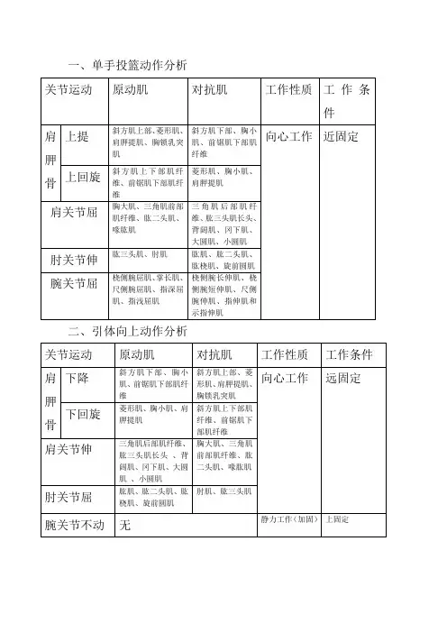运动解剖学动作分析