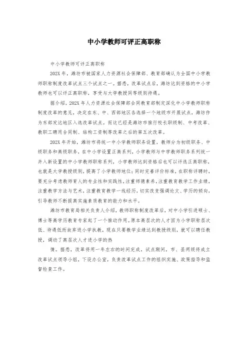 中小学教师可评正高职称