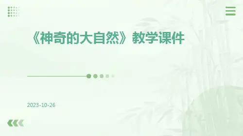 《神奇的大自然》教学课件