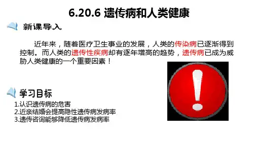 第六节遗传病和人类健康课件-2023-2024学年北师大版生物八年级上册
