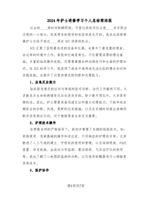 2024年护士进修学习个人总结简洁版（六篇）