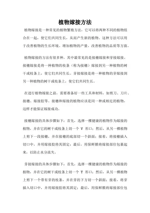 植物嫁接方法