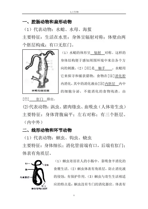 河北少儿七上生物知识总结(动物)
