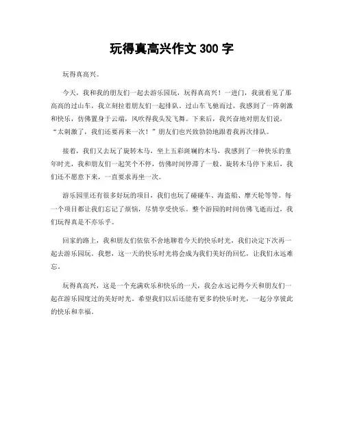 玩得真高兴作文300字