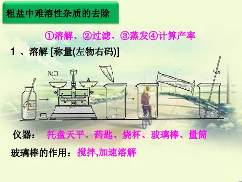 粗盐中难溶性杂质的去除PPT课件(4)