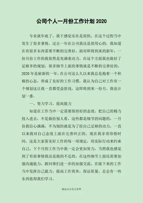 公司个人一月份工作计划2020