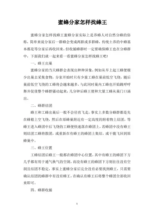 蜜蜂分家怎样找蜂王？