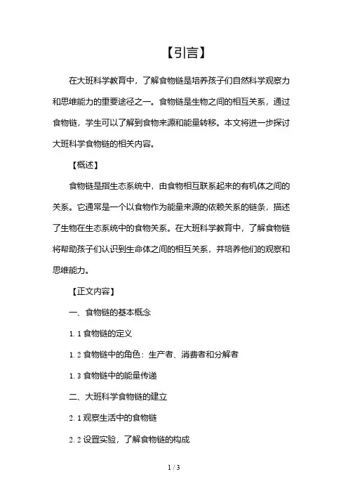 大班科学食物链2024