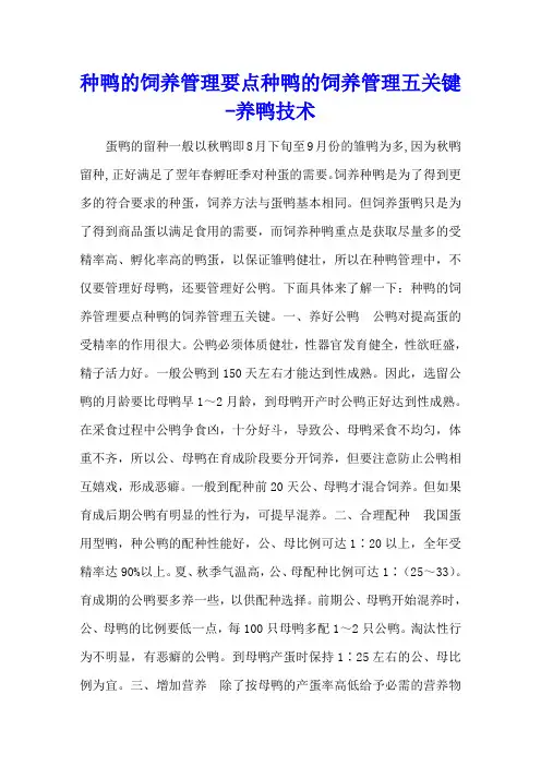 种鸭的饲养管理要点 种鸭的饲养管理五关键 - 养鸭技术