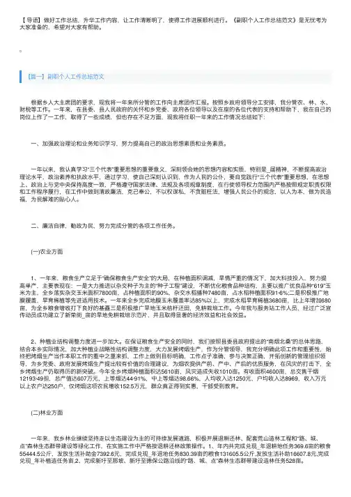 副职个人工作总结范文三篇