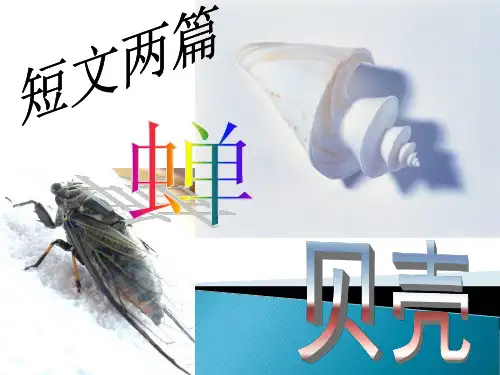 初中语文《短文两篇(《蝉》《贝壳》)》课件