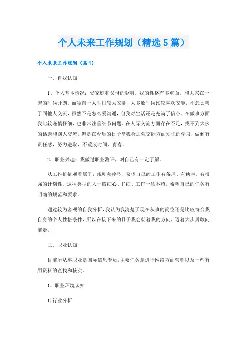 个人未来工作规划(精选5篇)