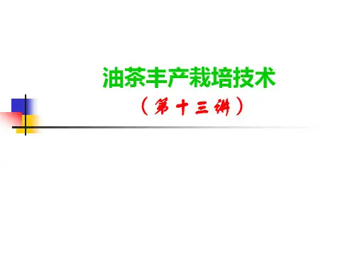 林木育种学：专题一油茶丰产栽培技术