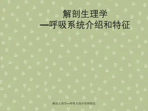 解剖生理学—呼吸系统介绍与特征