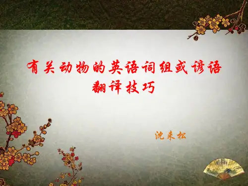 英语谚语翻译技巧