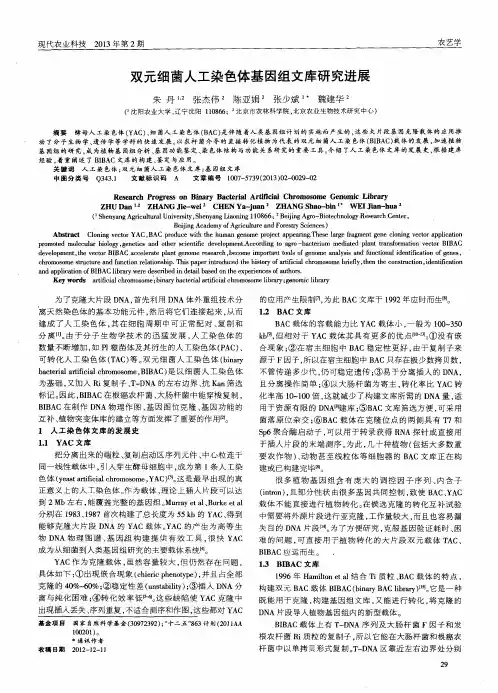 双元细菌人工染色体基因组文库研究进展