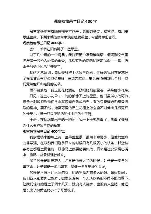 观察植物吊兰日记400字