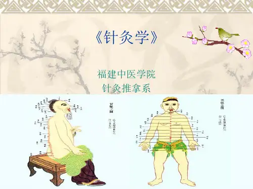 《经络腧穴》各论