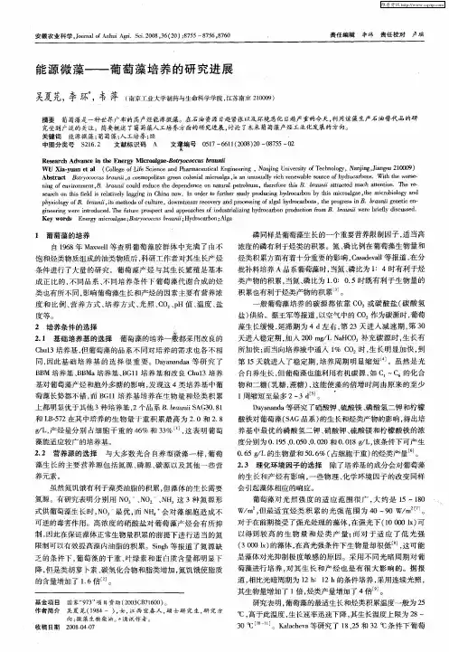 能源微藻——葡萄藻培养的研究进展