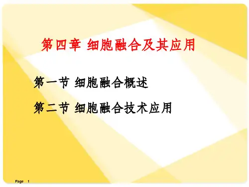 细胞融合及其应用