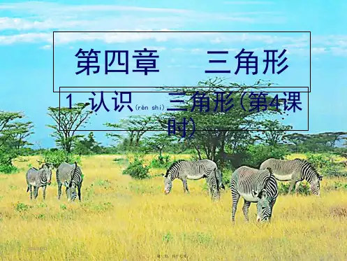 七年级数学下册 第四章 三角形 4.1 认识三角形(第4课时)课件