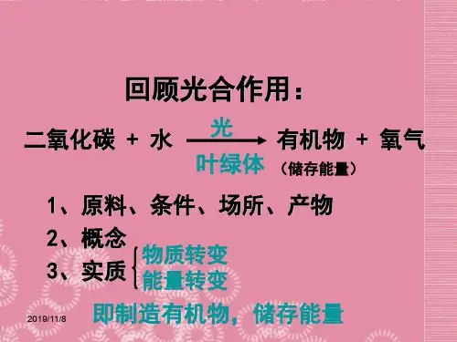 北师大版初一上册生物第3单元5第2节呼吸作用PPT课件(12)