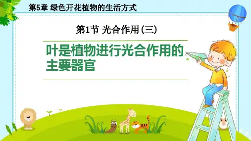光合作用ppt课件