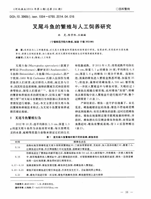叉尾斗鱼的繁殖与人工饲养研究