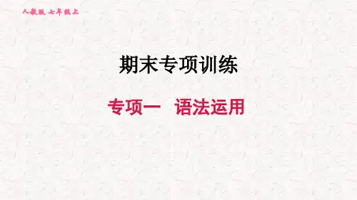 人教版七年级上册英语期末复习专题课件
