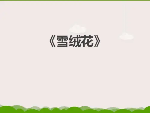 《雪绒花》PPT教学课件教学课件