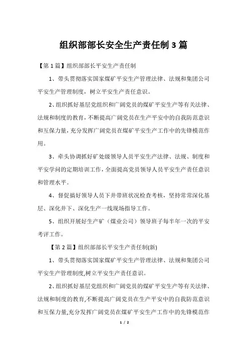 组织部部长安全生产责任制3篇2023年