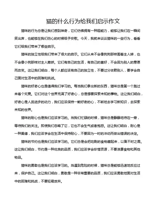 猫的什么行为给我们启示作文