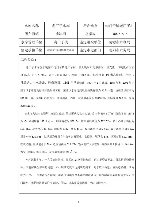 大坝安全鉴定报告书(市).doc老厂子