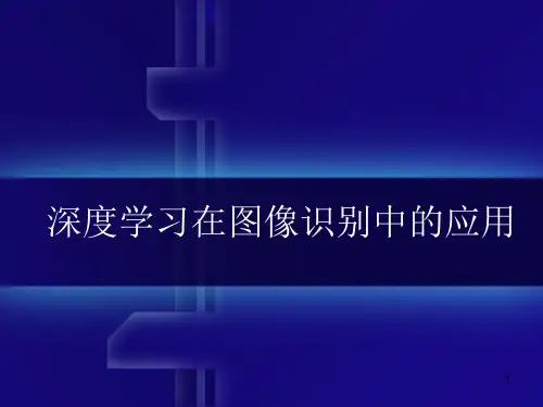 深度学习在图像识别中的应用PPT课件