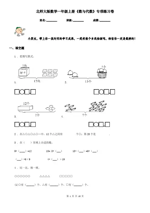 北师大版 数学一年级上册《数与代数》专项练习卷
