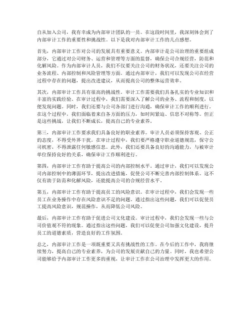 内部审计工作感想