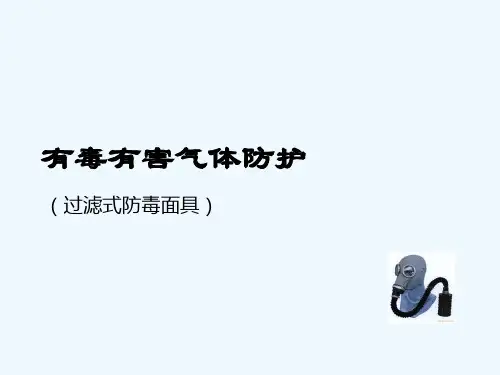有毒有害气体防护-过滤式防毒面具