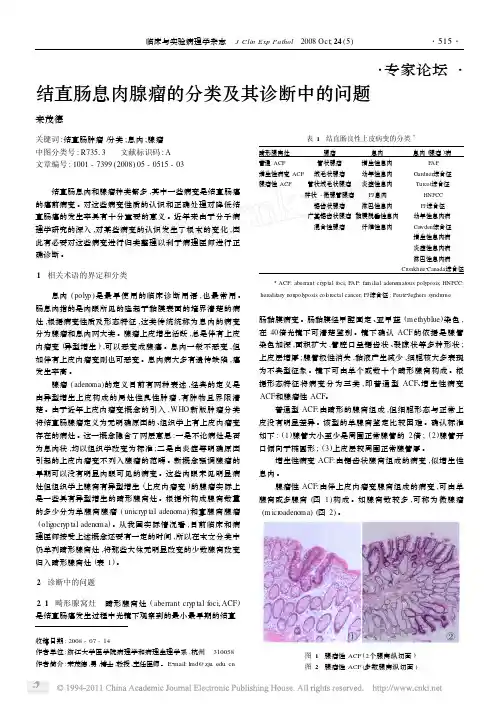 结直肠息肉腺瘤的分类及其诊断中的问题
