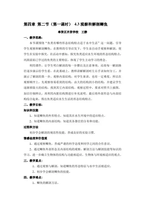 第一课时3观察和解剖鲫鱼