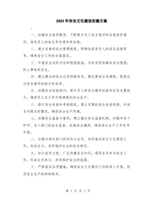 2024年安全文化建设实施方案