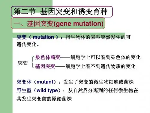 微生物学 7遗传(2)