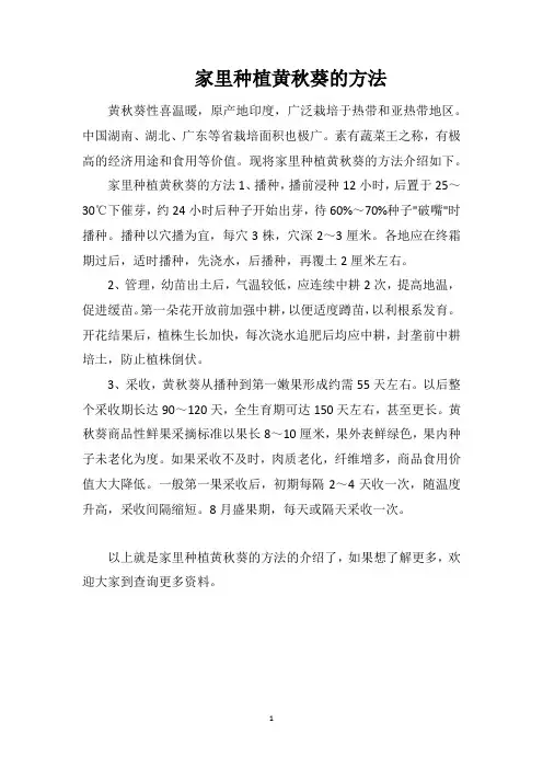 家里种植黄秋葵的方法