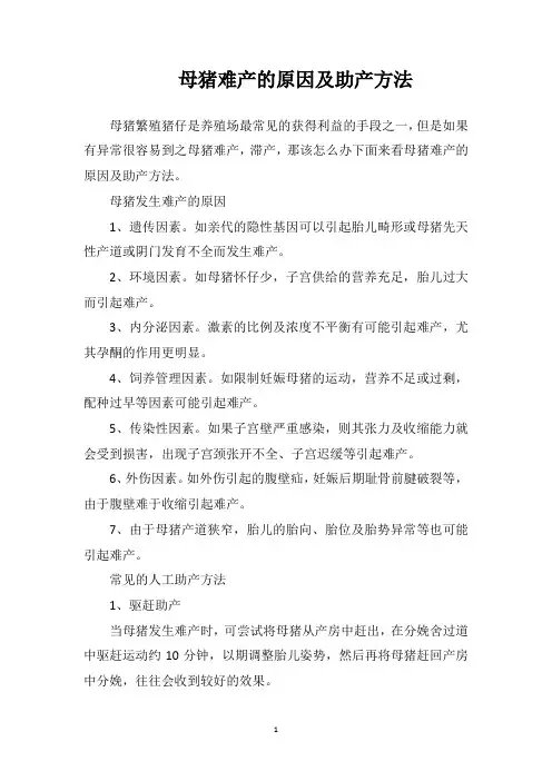 母猪难产的原因及助产方法