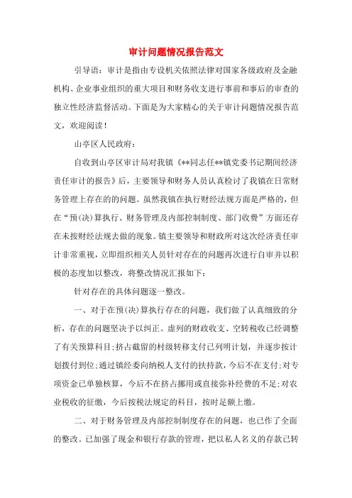 2020年审计问题情况报告范文